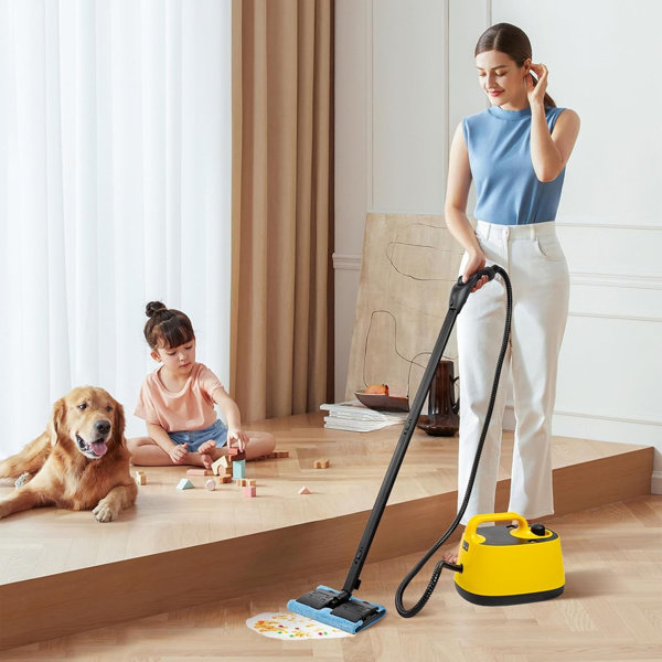 Aristell Steam Cleaner Electric Household Steamer High Pressure